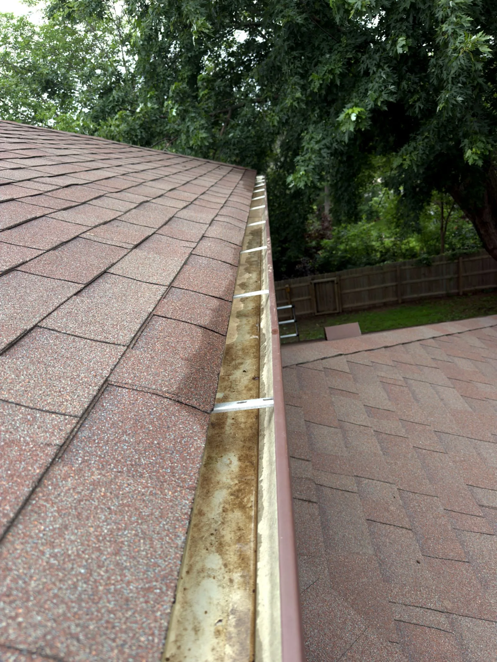 The same Lincoln roofline with the gutter cleared and flowing after our visit